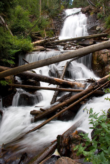Fern Falls