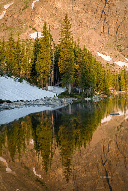 Two Rivers Lake Pine Reflection