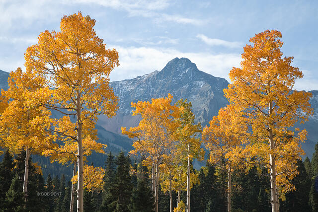 Mears Peak Autumn