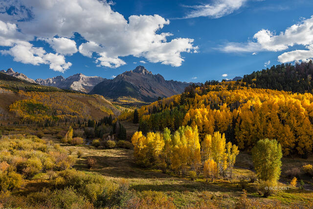 Sneffels Autumn