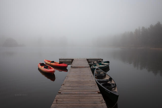 Sylvan Fog