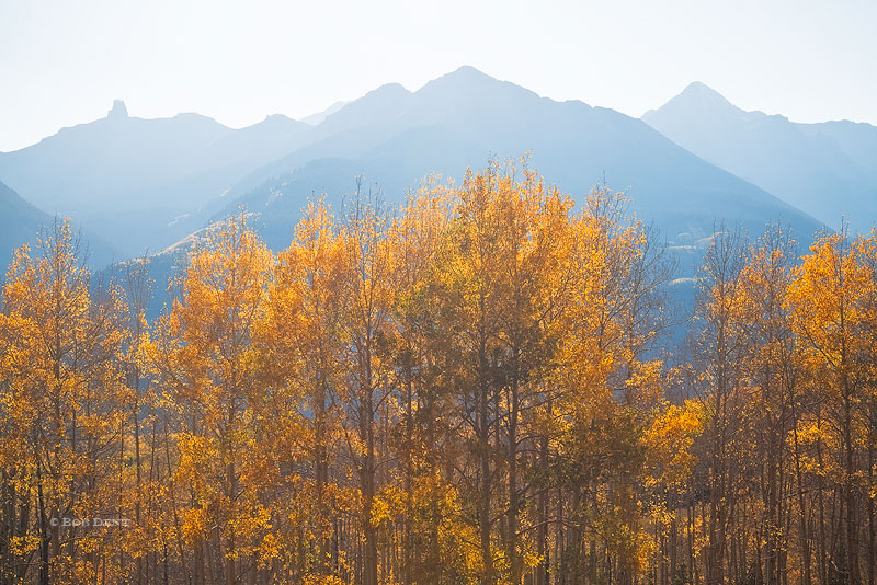 Lizard Head Peak, Sunshine Mountain, Wilson Peak, aspens, autumn, fall, Colorado