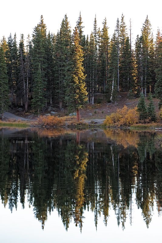 Alta Lakes, sunset, reflection, pines, lake, colorado