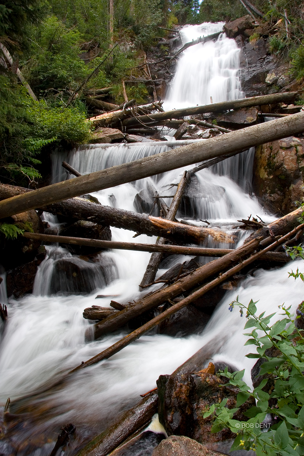 Fern Falls in Fern Creek, Rocky Mountain National Park, Colorado.
