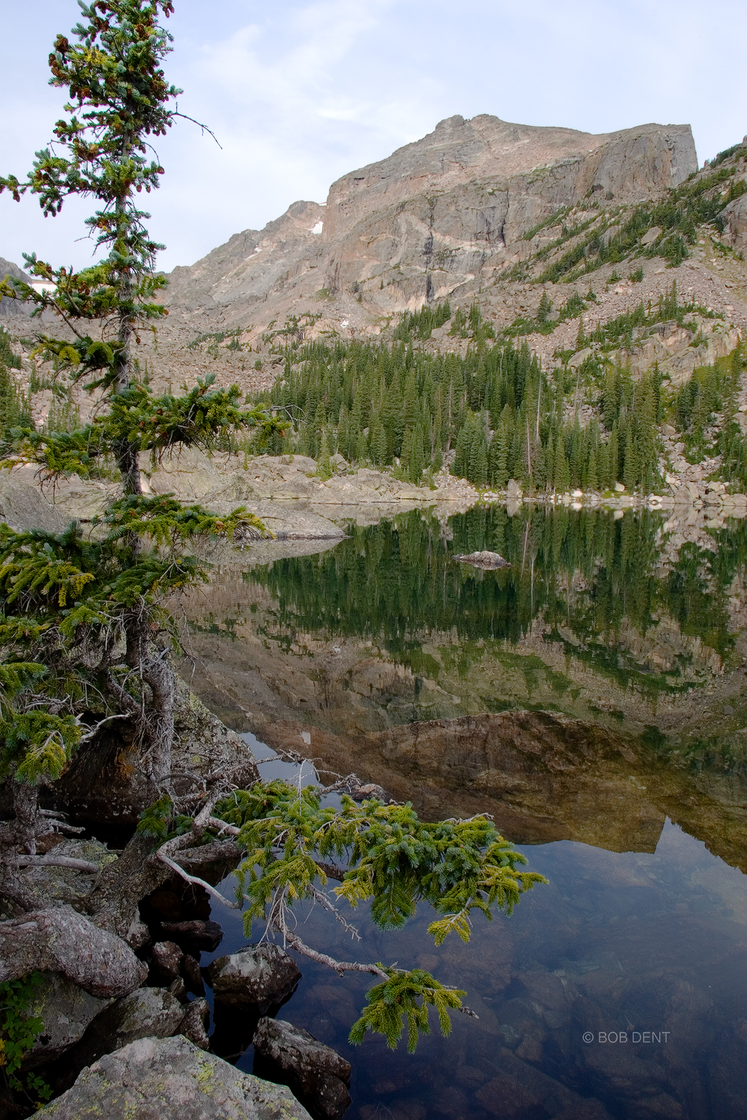 Hallett Peak and Tree Hallett Peak reflects in Lake Haiyaha, Rocky Mountain National Park, Colorado.