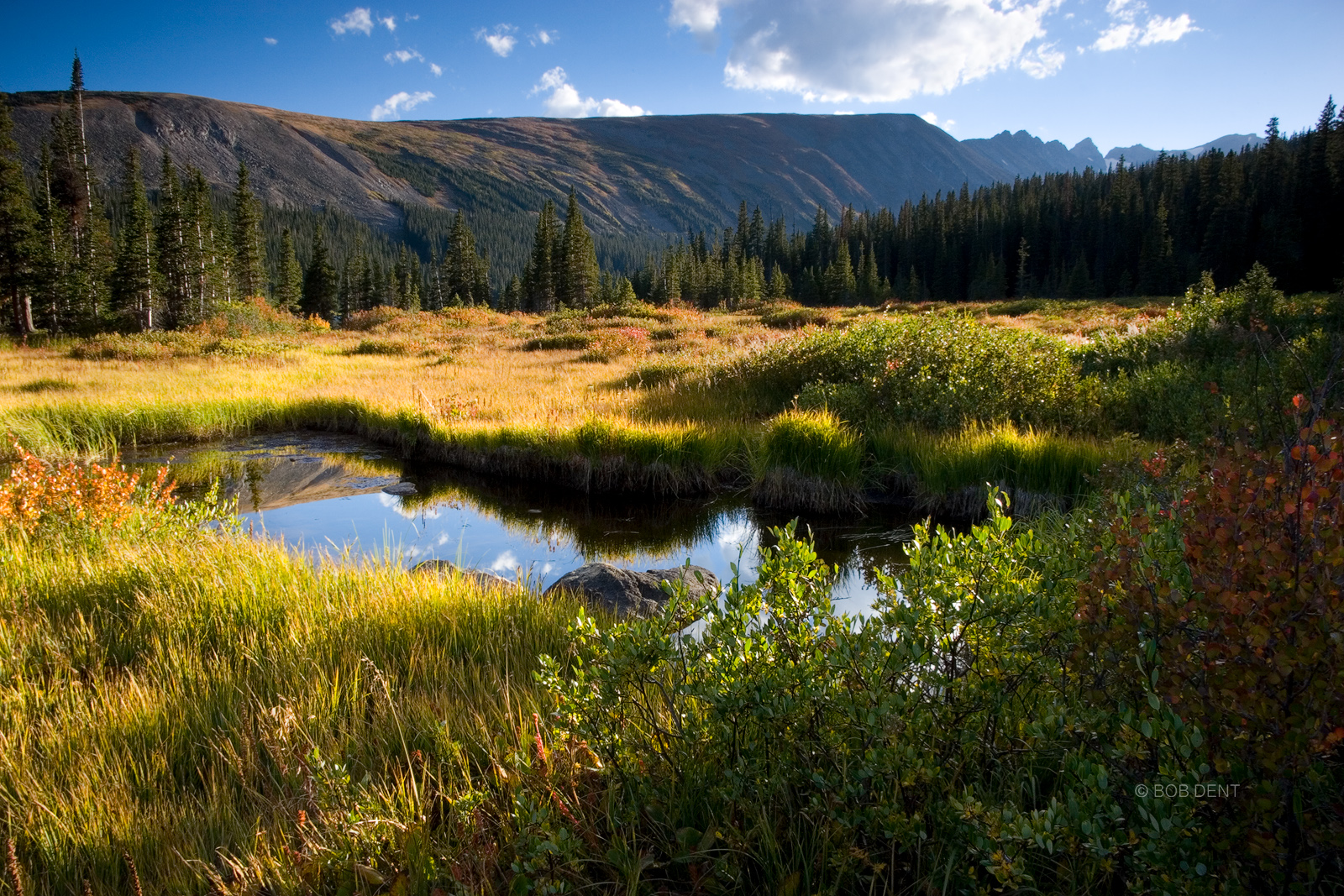 A small pond relection at sunset along the Pawnee Pass Trail, Indian Peaks Wilderness, Colorado.