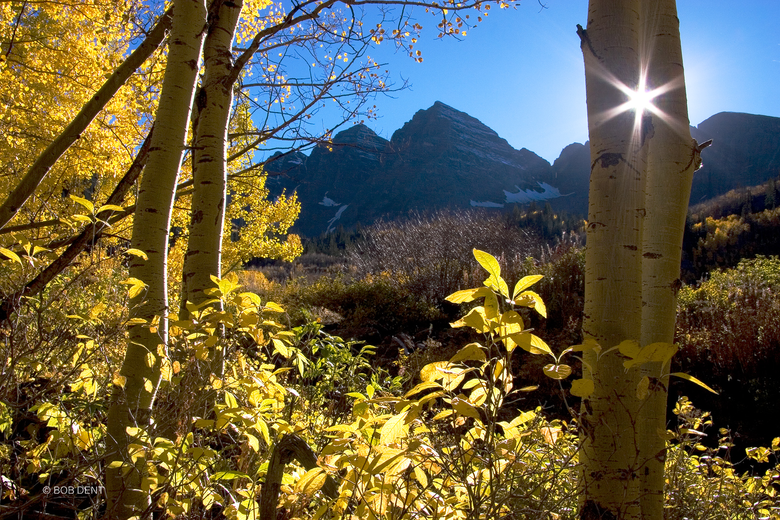 The setting sun peeks between two aspen trees at the Maroon Bells, near Aspen, Colorado.