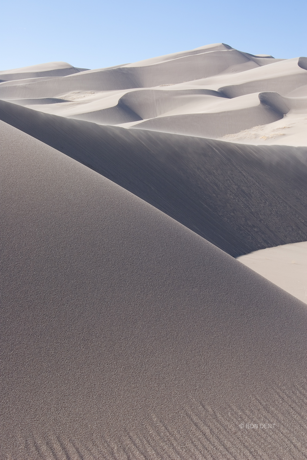 Curving dunes in late afternoon light, Great Sand Dunes National Park and Preserve, San Luis Valley, Colorado.