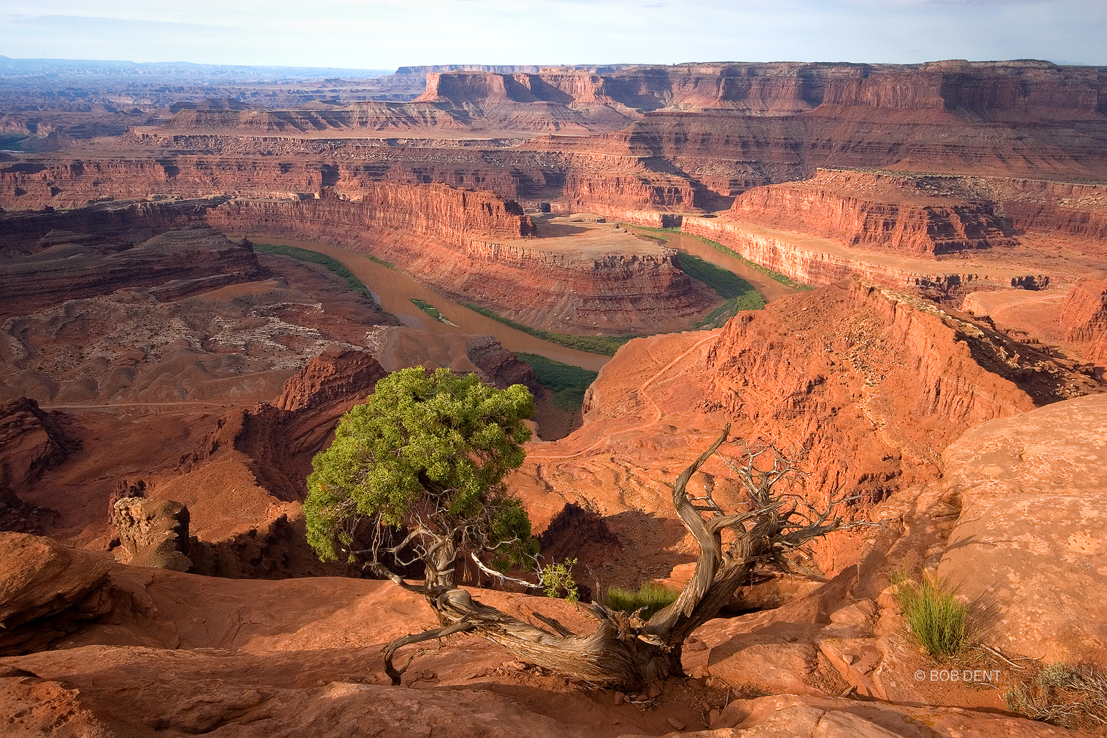 Morning light at Dead Horse Point, Dead Horse Point State Park, Utah