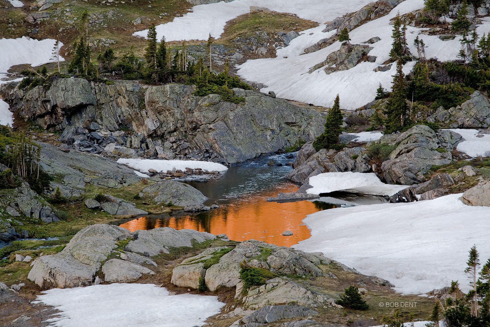 Alpenglow reflects in an outlet area of one of the Missouri Lakes at sunrise, Holy Cross Wilderness, Colorado.