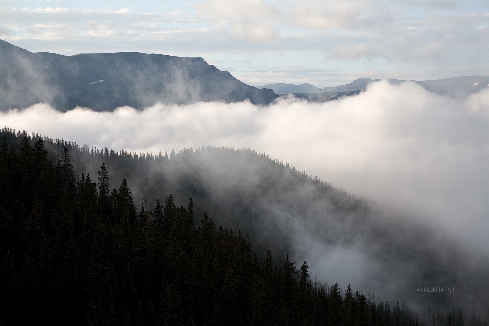Low lying clouds drift through Box Canyon, Rocky Mountain National Park, Colorado.