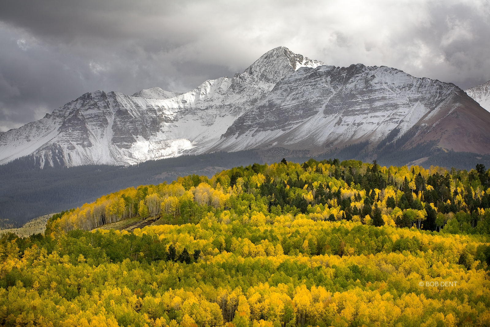 Autumn colors below Wilson Peak, Wilson Mesa, Uncompahgre National Forest, Colorado.