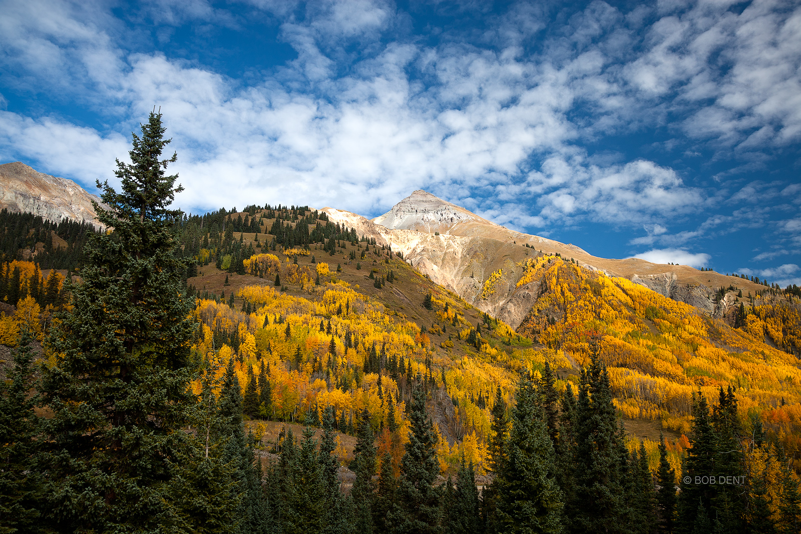 Autumn colors, Red Mountain Pass, Uncompahgre National Forest, Colorado.