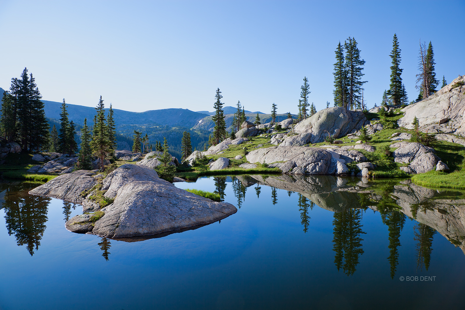 Morning reflection at the edge of a high alpine pond.