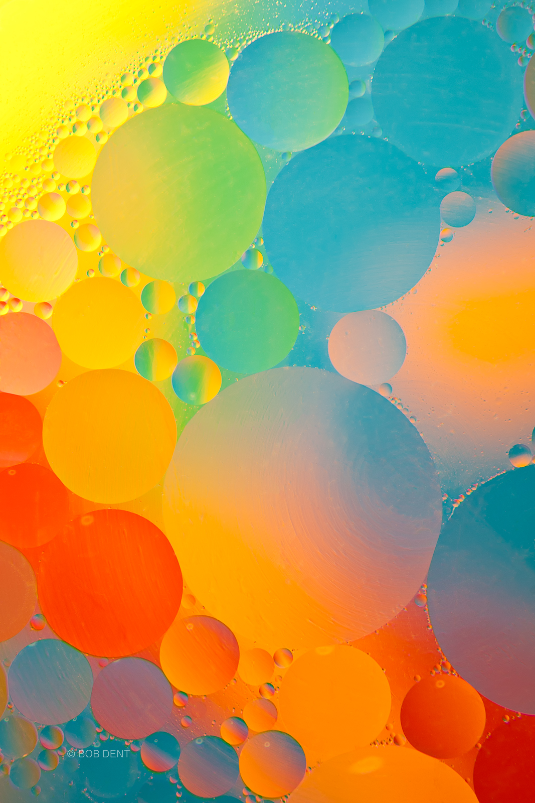 oil and water, bubbles, macro, rainbow