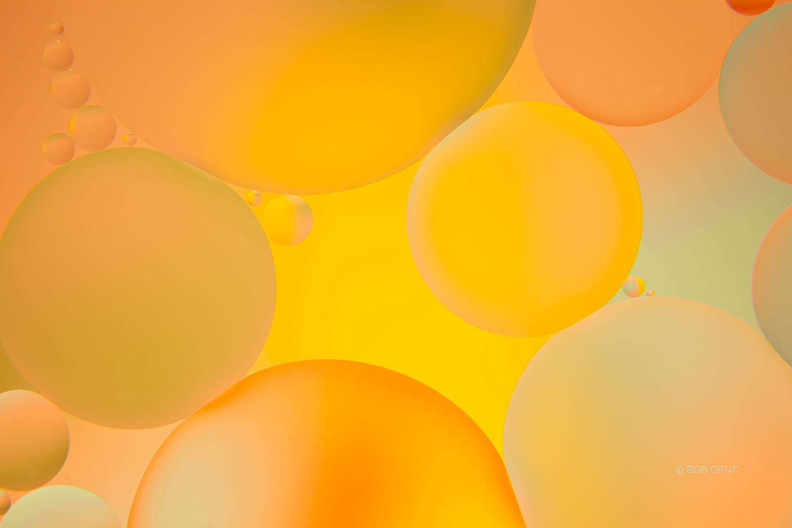 oil and water, bubbles, macro