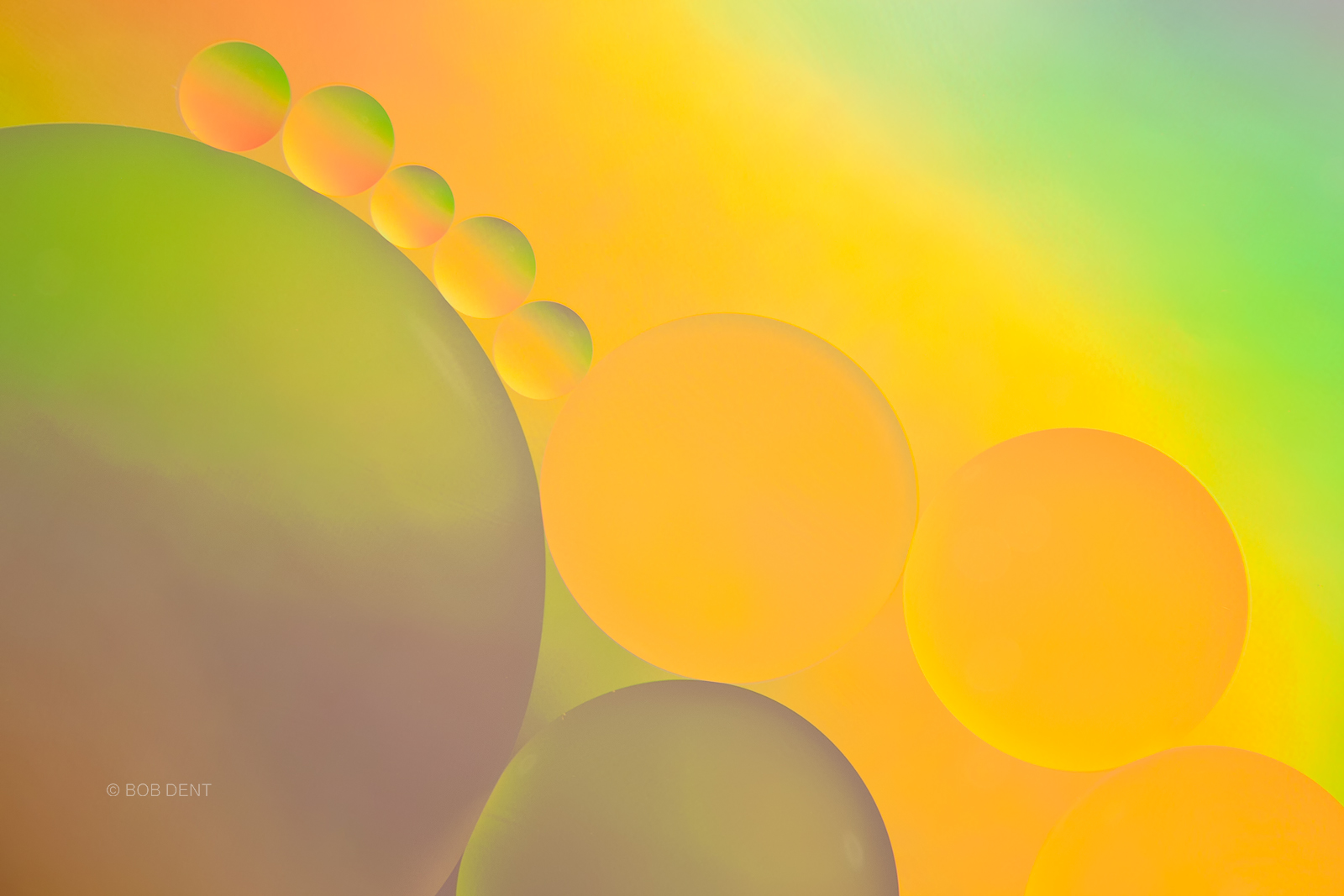 oil and water, bubbles, macro