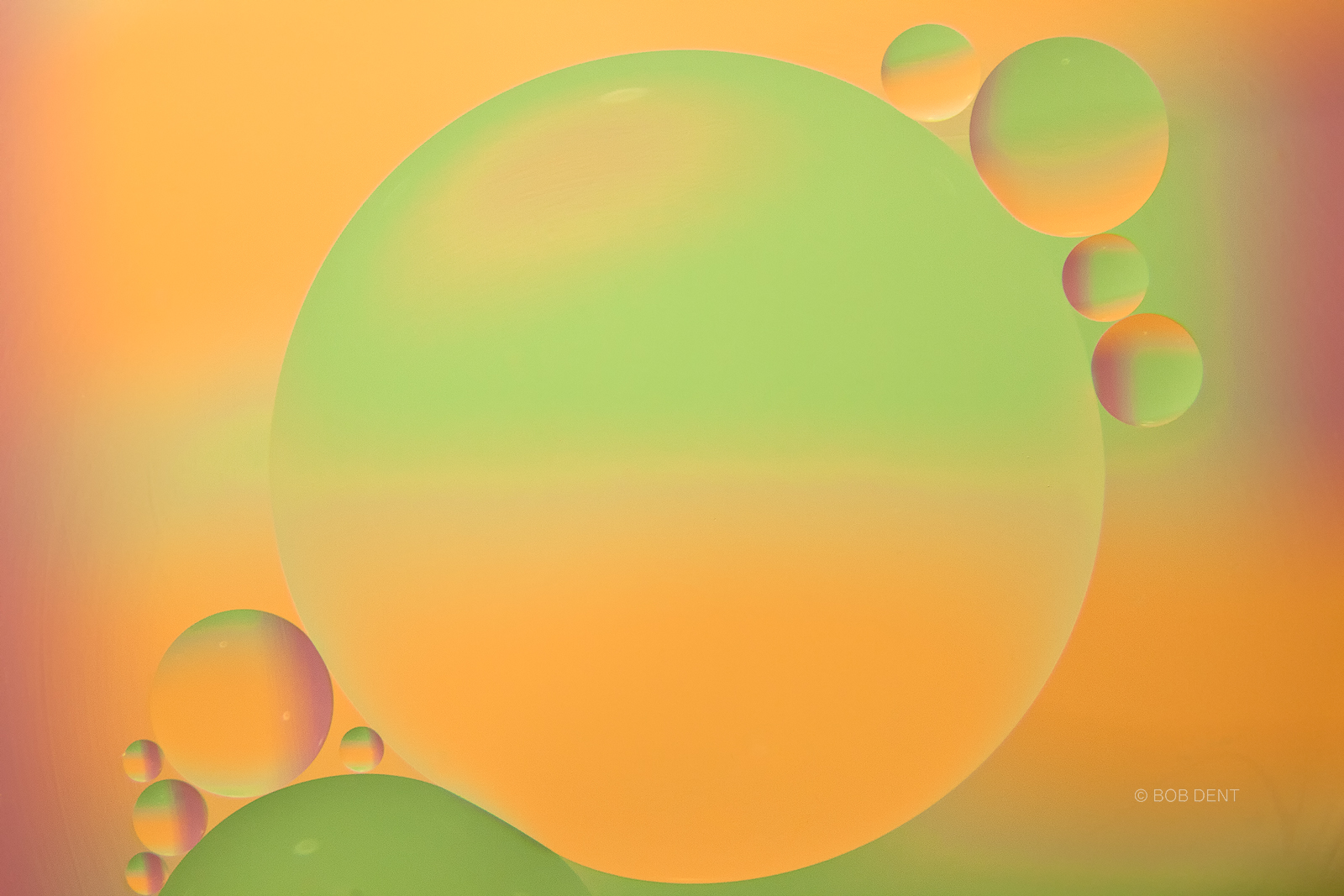 oil and water, bubbles, macro
