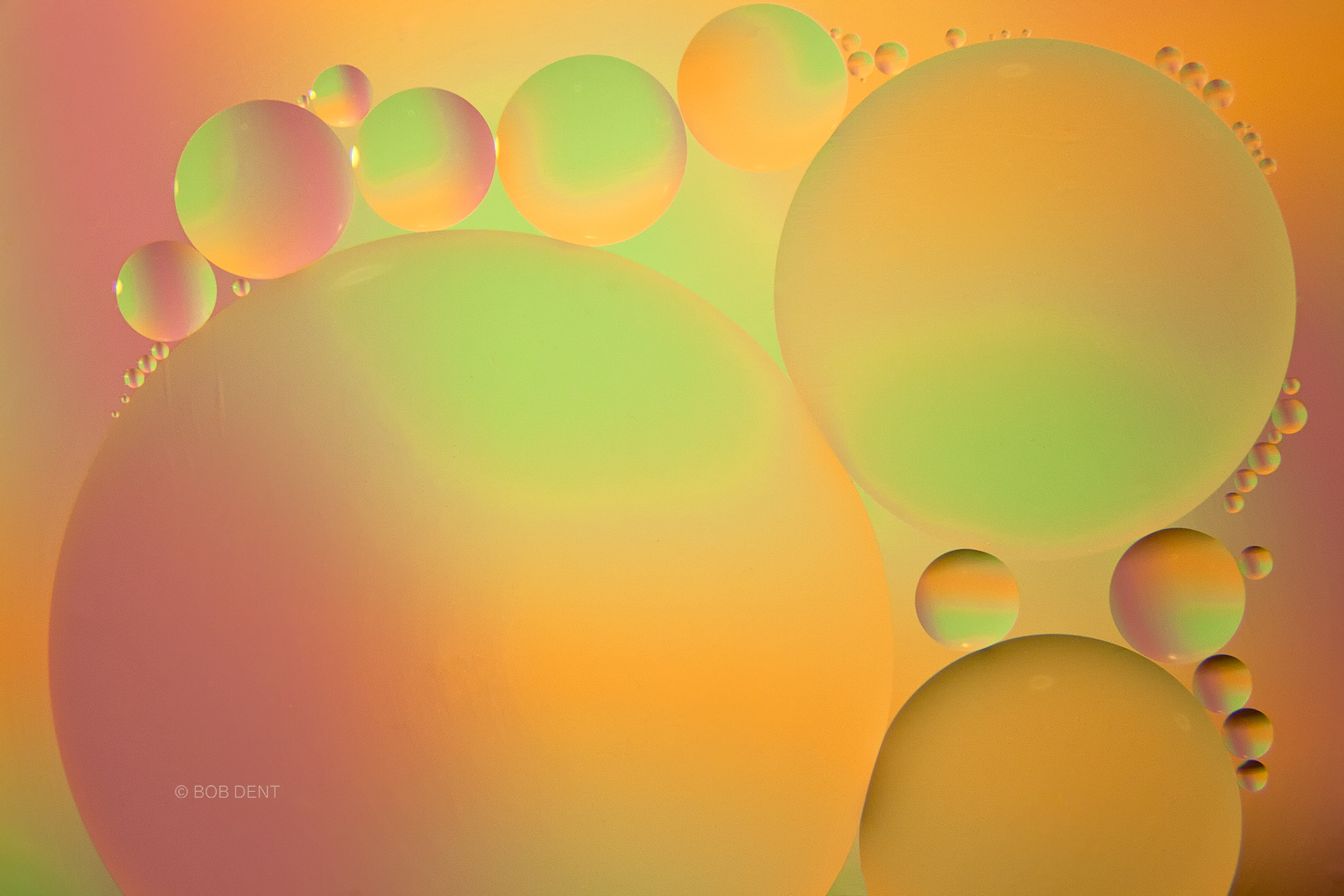 oil and water, bubbles, macro