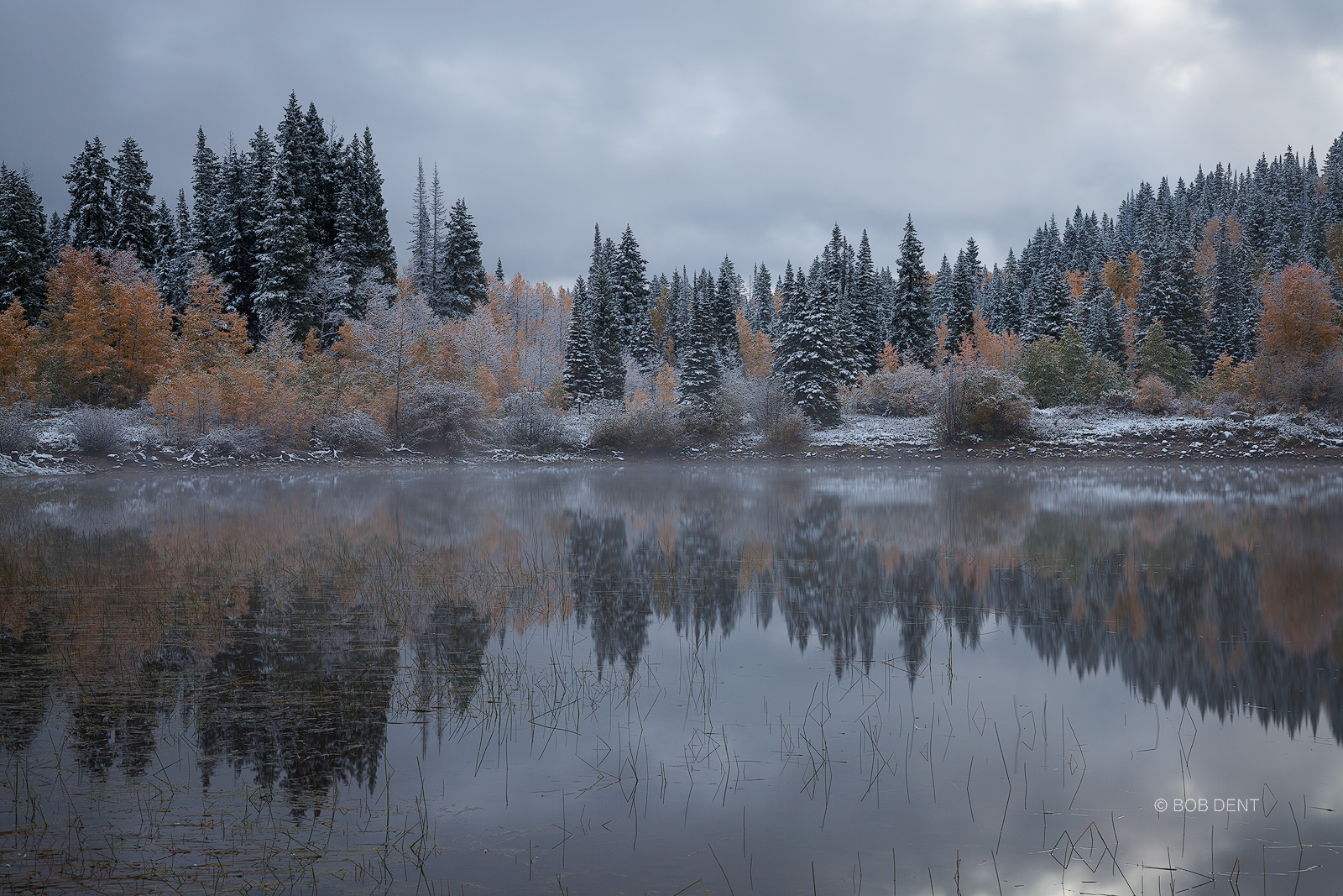 Cold morning reflection at Lost Lake Slough.