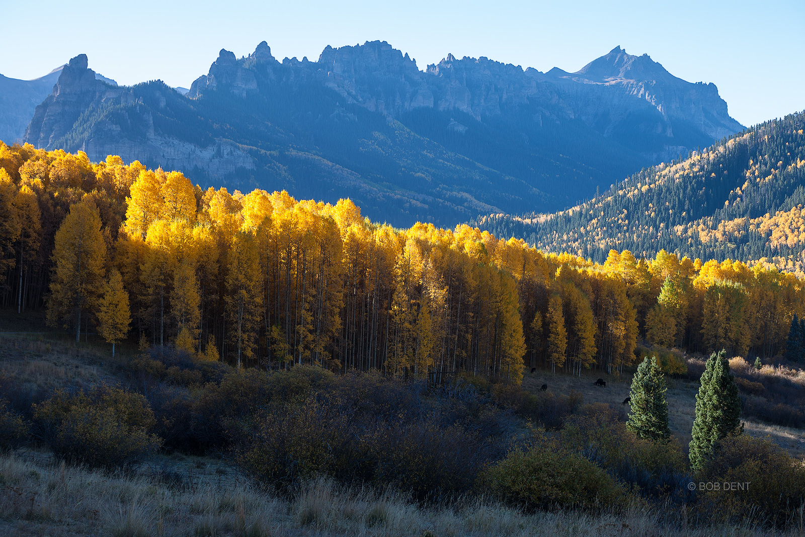 Sunrise light below Courthouse Mountain on a cold autumn morning.