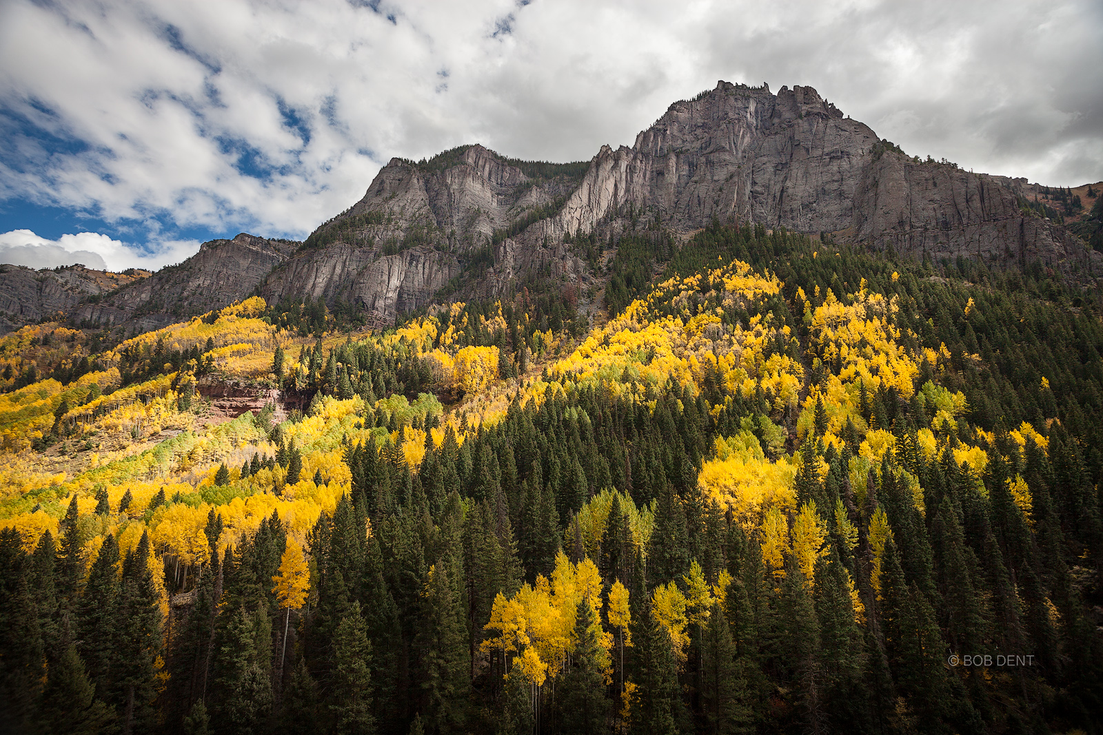 A majestic view of autumn in Colorado.