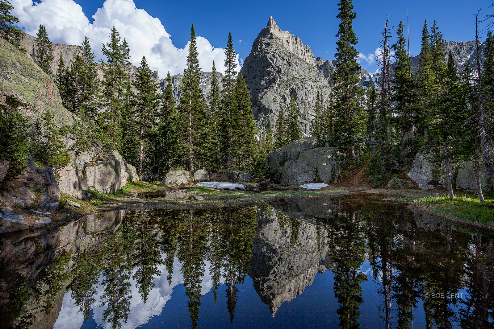 Lone Eagle Peak reflecting in a small pond.